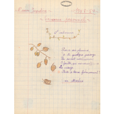 Cahier de travaux personnels