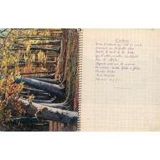 Cahier de travaux personnels