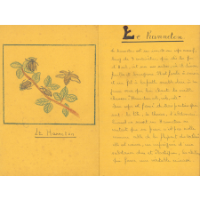 Cahier de leçons de chose. Monographie sur le hanneton. 