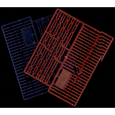Chromosomes-Didac