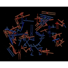Chromosomes-Didac