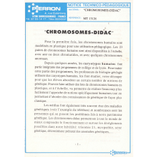 Chromosomes-Didac