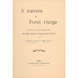A travers la forêt vierge : aventures extraordinaires de deux jeunes Français au Brésil