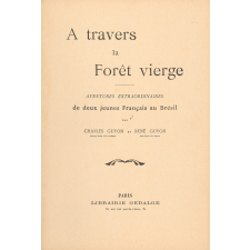 A travers la forêt vierge : aventures extraordinaires de deux jeunes Français au Brésil