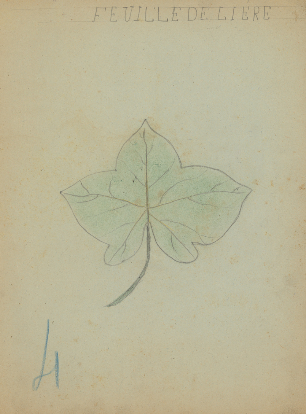 Cahier de dessin