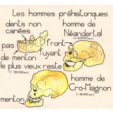 Les hommes préhistoriques