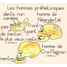 Les hommes préhistoriques