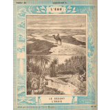 L'eau : Le désert : L'oasis