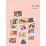 Les animaux à poils