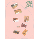 Les animaux à écailles