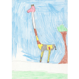 Girafe