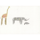 Girafe et rhinocéros