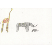 Girafe et rhinocéros