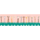 Girafes