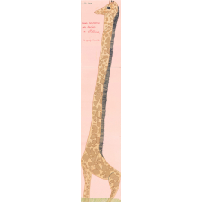 Albina, la girafe blanche