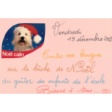 Bûche de Noël