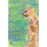 Gargouille