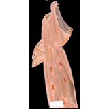 Gargouille
