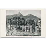 École Freinet - Vence (Alpes-Maritimes) - Le bain dans la piscine.