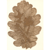 Travail manuel. Feuille d'arbre séchée. 