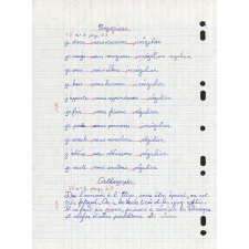 Devoir de français