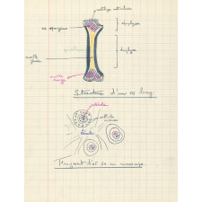 Cahier de sciences