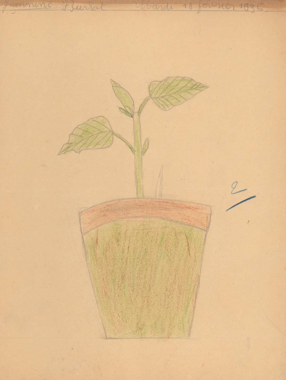 Devoir de dessin. Année scolaire 1935-1936