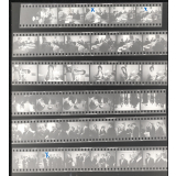 Inspecteurs russes de l'enseignement secondaire : IPN 1964