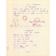 Cahier de devoirs