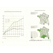 L'Orientation professionnelle des jeunes filles. Ministère de l'Education / Secrétariat d'Etat à l'Emploi féminin