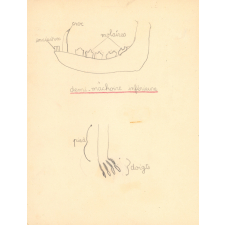 Cahier d'observation
