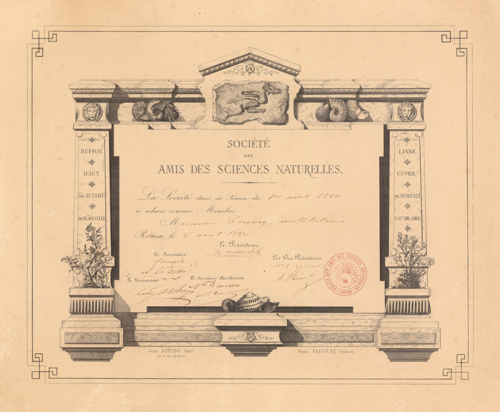 Société des Amis des Sciences Naturelles. Attestation d'admission comme membre. 