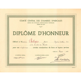 Comité central des Chambres syndicales (Union des syndicats professionnels patronaux). Diplôme d'honneur.