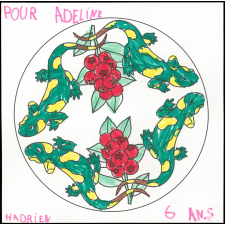 Coloriage pour Adeline : salamandres