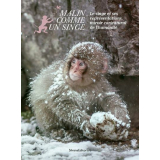 Malin comme un singe