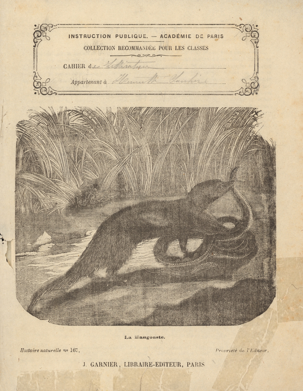 Cahier de littérature