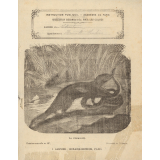 Cahier de littérature