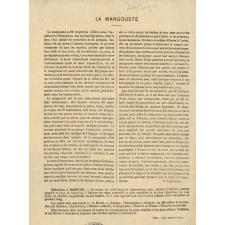 Cahier de littérature