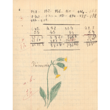 Cahier spécial de devoirs mensuels ou de compositions, cours élémentaire