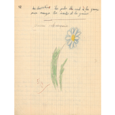 Cahier spécial de devoirs mensuels ou de compositions, cours élémentaire
