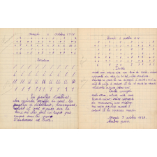 Cahier de devoirs quotidiens