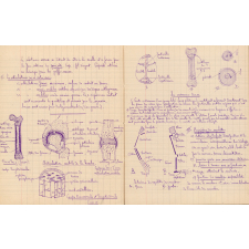 Sciences naturelles 