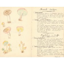 Histoire naturelle
