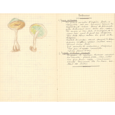 Histoire naturelle