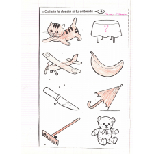Cahier du jour 
