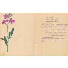 Cahier de sciences