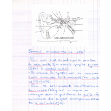 Cahier de musique