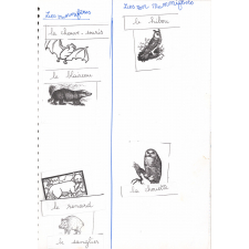 Cahier de sciences