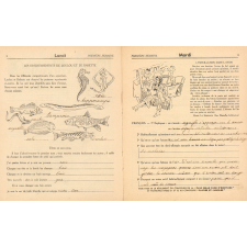 Cahier de vacances avec concours, cours moyen 2e année N°5, Loulou et Babette font de l'aviation