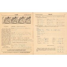 Cahier de vacances avec concours, cours moyen 1ère année-classe de 8e-9 à 10 ans N°4, Loulou et Babette vous invitent aux voyages